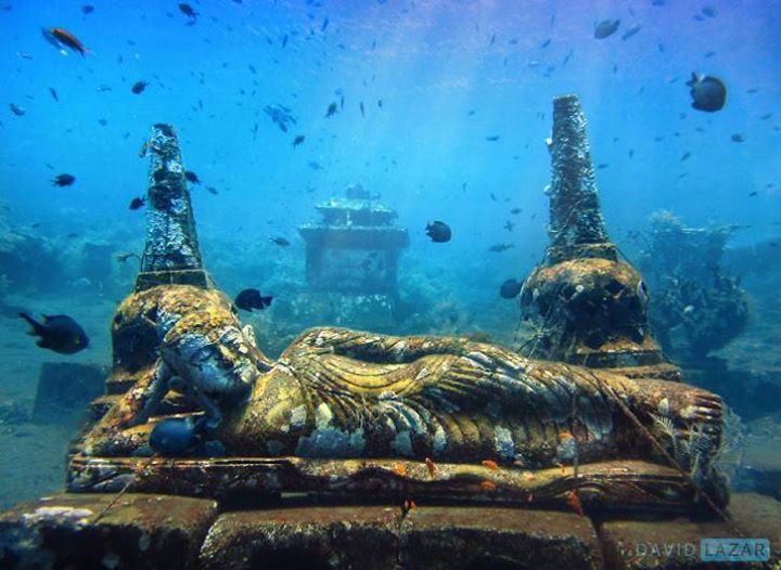 Patung - patung, candi dan arca yang ada menjadi medium perkembangbiakan terumbu karang dengan metode bio rock (pinterest.com)
