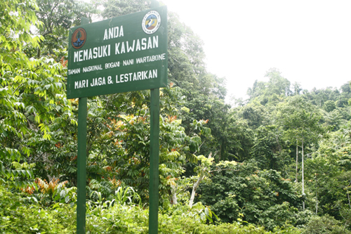 Taman Nasional Bogani Nani Wartabone (gorontalofamily.org)