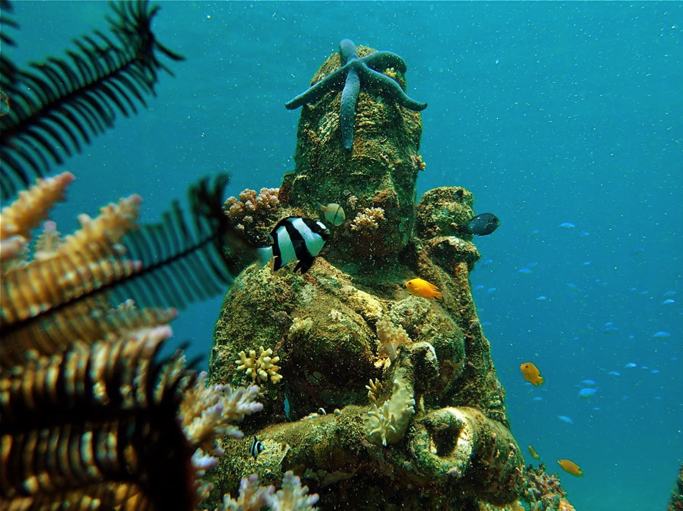 Saat ini menjadi salah satu titik diving yang digilai para wisatawan (indonesia.tripcanvas.co)