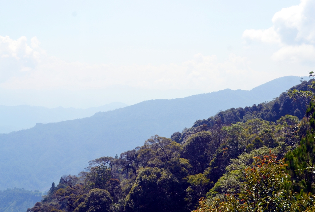 Pesona pegunungan dan hutan hujan tropis di Tabang | Foto: WA Mustaqim