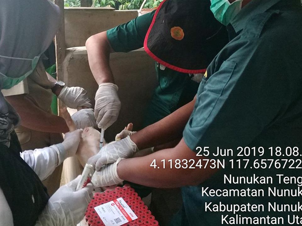 Pertahankan Indonesia Bebas Penyakit Mulut dan Kuku (PMK), Pusvetma adakan Surveilans | Foto : pusvetma