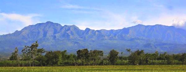 Gunung Wilis | Foto : Desa Ngliman
